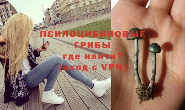 спиды Арсеньев
